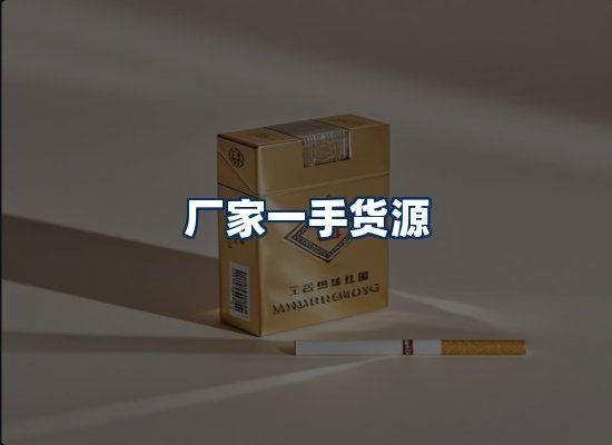 专业团队办公环境